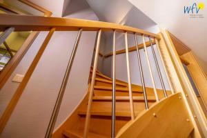 Villa Dünenstraat Ferienwohnungen Seelöwe Robbe