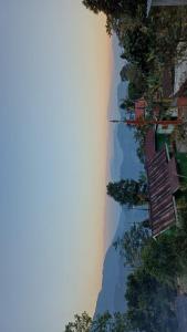 Cinchonna Farmstay