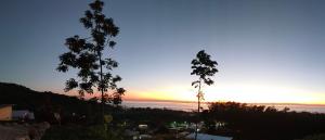 Laeley 1,000 miles resort