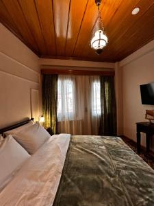 MetsoVillas στο κέντρο του Μετσόβου