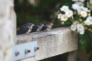 Hideaway in the Brecon Beacons