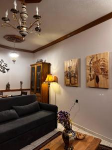 MetsoVillas στο κέντρο του Μετσόβου