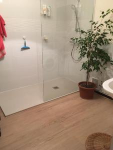 maison avec terrasse