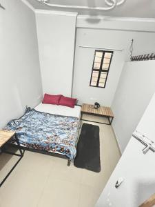 Bhoora House