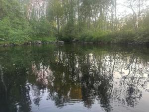 Forestry cabin and sauna cabin