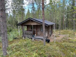 Forestry cabin and sauna cabin