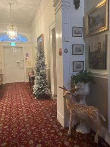 Ashmore House Cashel