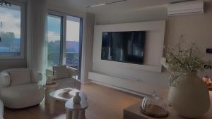 Olive tree - spacious apartment with terrace& private garage