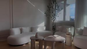 Olive tree - spacious apartment with terrace& private garage