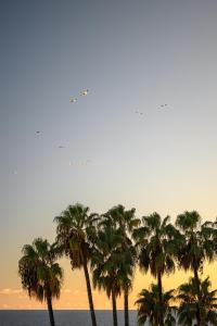 La Fenêtre sur Mer - Superbe Vue Sur Le Port