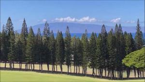 Kapalua Golf Villa 12V 1