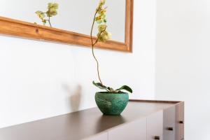 GuestReady - Lovely experience in Funchal