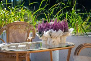 Lola Przy Stoku - Apartament z prywatnym jacuzzi