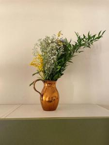 Appartement 2 pièces bourgeois meublé, aéroport tramway