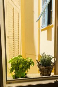 Appartement 2 pièces bourgeois meublé, aéroport tramway