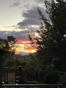 The Crows Nest - Apartment in Asheville near the Smoky Mountains!