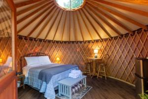Holly Hideaway - Cozy Yurt, Pet Friendly, and Beautiful Trails!