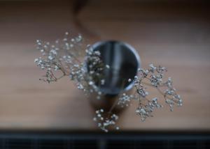 wyciszy i ukoi apartament - w najpiękniejszej dzielnicy Katowic