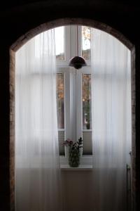 wyciszy i ukoi apartament - w najpiękniejszej dzielnicy Katowic