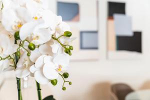 GuestReady - Premium stay in Funchal