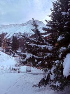 Charmant appartement au centre de Saas-Fee