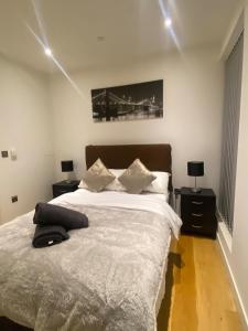 Stunning Apartment - O2 Arena!