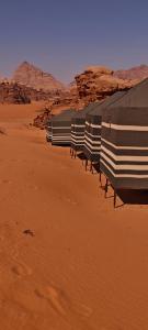 Bedouin Horizons