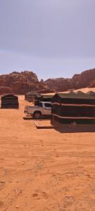Bedouin Horizons
