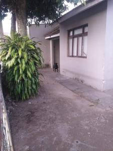 Casa Centro - Itajaí