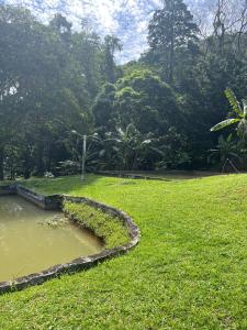 Sítio com rio e muito verde!