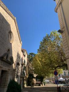 Balade à lHôtel Particulier de Montcalm