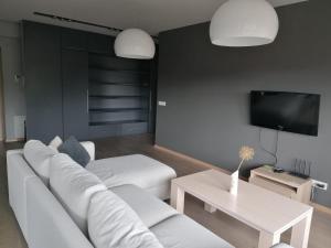 Central Druskininkai Apartment