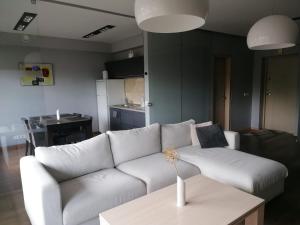 Central Druskininkai Apartment