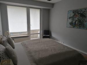 Central Druskininkai Apartment