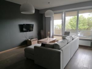 Central Druskininkai Apartment