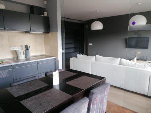 Central Druskininkai Apartment