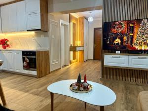 Central Vista Apartment Shkodra