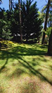 Miralejos CARILO PLAYA Y CENTRO