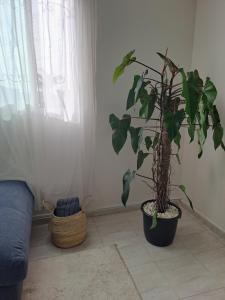 iris appart vue dégagée, bon emplacement