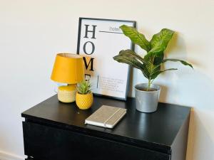 Modern Kensington Studio Near Earls Court Tube