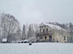 Comfy house by the lake in nature park