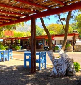 Cozy Crete Villa Sea Views Steps to Beach