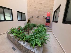 Grand Fifty Suites