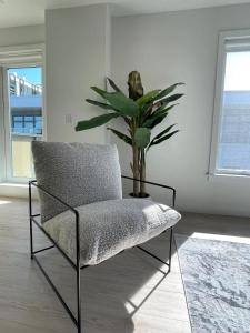 Bright warm & spotless 1 BR in North End Halifax