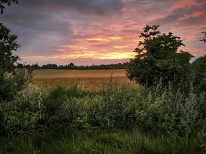 Authentic Country Stay At A Farm Guesthouse