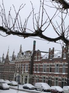 Luxurious appartement with sauna and kitchen in center of Dordrecht