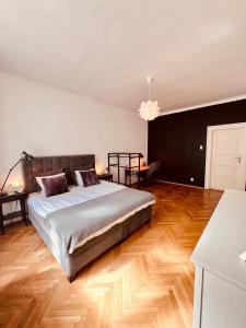 Elegant & inviting entire flat on Letná