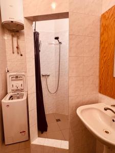 Elegant & inviting entire flat on Letná