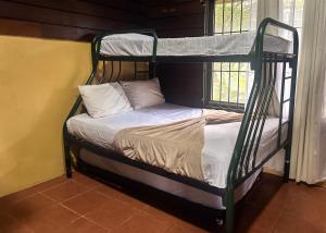 Cabin with private tropical forest