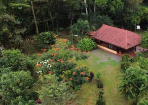 Cabin with private tropical forest